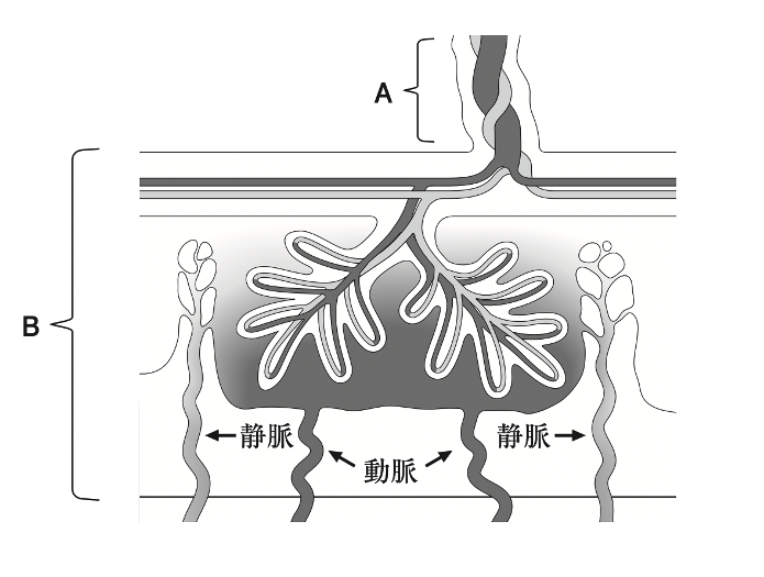解説画像